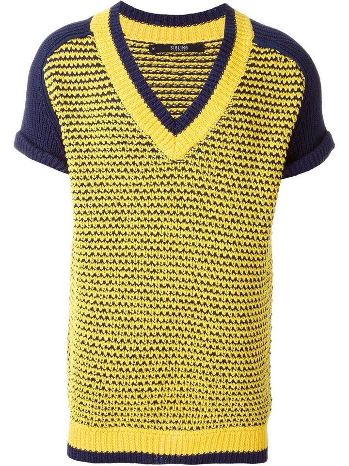 Sibling Mesh Short Sleeve Sweater