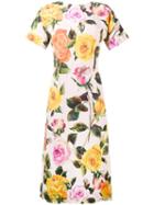 Dolce & Gabbana Multi-rose Print Dress, Women's, Size: 40, Pink/purple, Viscose/silk/spandex/elastane
