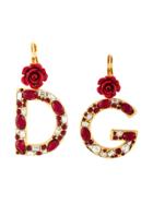 Dolce & Gabbana Crystal Rose Embellished Dg Earrings - Metallic