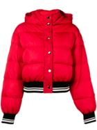 Msgm Short Padded Jacket - Red