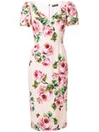 Dolce & Gabbana Rose Print Brocade Dress - Nude & Neutrals