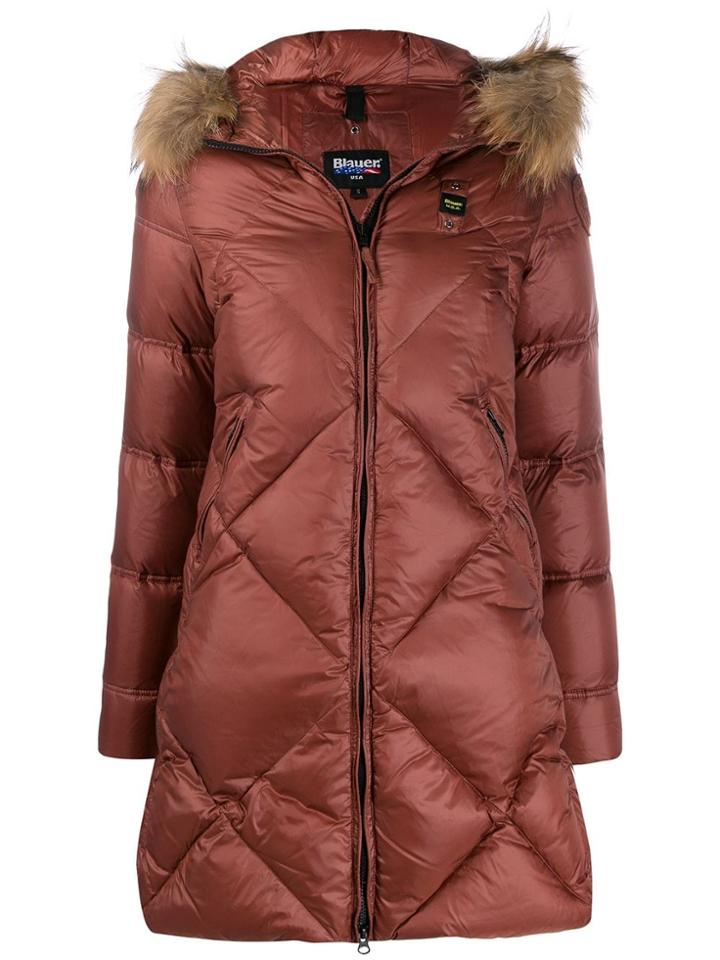Blauer Bldk03004005050372 - Brown