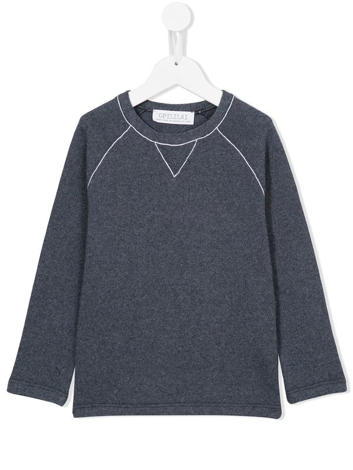 Opililai Crew Neck Sweatshirt, Boy's, Size: 10 Yrs, Blue