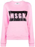 Msgm Logo Sweatshirt - Pink