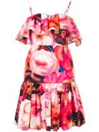 Msgm Ruffle Floral Dress - Pink