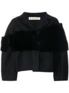 Marni Cropped Stole Stripe Jacket - Black