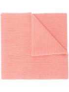 Acne Studios Bansy N Face Scarf - Pink