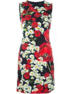 Dolce & Gabbana Daisy And Poppy Print Dress, Women's, Size: 38, Black, Cotton/silk/spandex/elastane