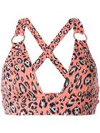 Suboo Cora Deep-v Bikini Top - Pink