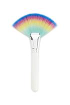 Forever21 Multicolor Fan Makeup Brush