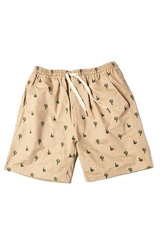 Forever21 Just Threads Cactus Print Shorts