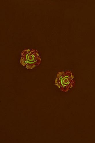 Forever21 Glow-in-the-dark Flower Studs