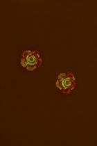 Forever21 Glow-in-the-dark Flower Studs