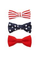 Forever21 Stars And Stripes Hair Clip Set