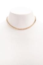 Forever21 Serpentine Chain Necklace