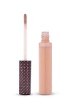 Forever21 Hot Makeup Luscious Lip Gloss