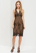 Forever21 Ministry Of Style Bleaker Pencil Lace Dress