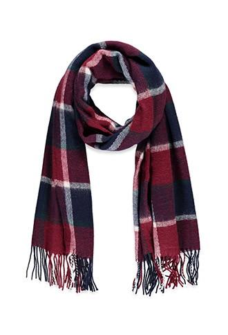 Forever21 Fringed Plaid Scarf