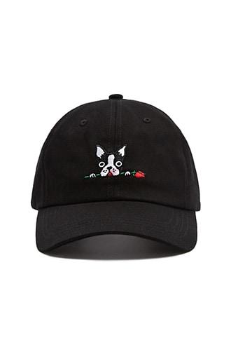 Forever21 French Bulldog Graphic Dad Cap