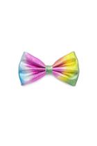 Forever21 Metallic Rainbow Bow Hair Clip
