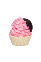 Forever21 New Yorks Bathhouse Cupcake Soap