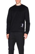 Public School Compact Luxe Fleece Wnl Sweatshirt In Black