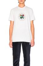 Aime Leon Dore Graphic Tee In Gray