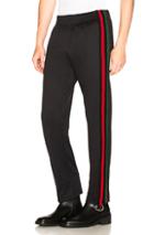 Wales Bonner Palms Track Pant In Black