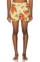 Jacquemus Printed Shorts In Orange,tropical,yellow