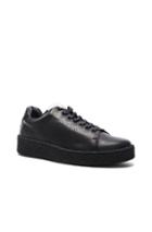 Eytys Ace Leather Sneakers In Black