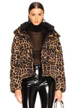 Moncler Caille Giubbotto Jacket In Brown,animal Print