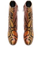 Proenza Schouler Bicolor Python Print Ankle Boots In Brown,yellow,animal Print