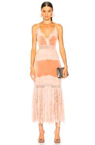 Patbo Lace & Velvet Dress In Pink