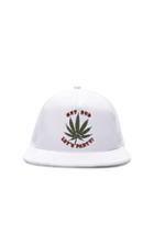 Local Authority For Fwrd Let's Party Hat In White