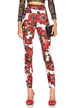Dolce & Gabbana Floral Pant In Floral,red,white