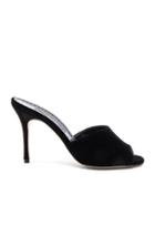 Manolo Blahnik Velvet Bartuslo Sandals In Black