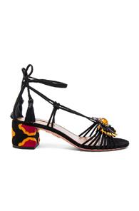 Aquazzura Suede Samba Heels In Black