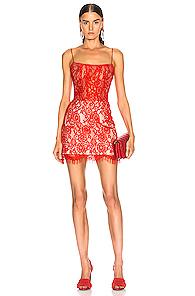 Rasario For Fwrd Lace Mini Dress In Red