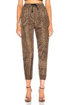Adaptation Leopard Track Pant In Animal Print,brown