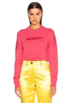 Calvin Klein 205w39nyc Printed Sweater In Pink