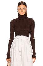 Helmut Lang Slash Rib Turtleneck Top In Brown