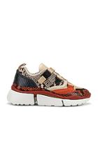 Chloe Platform Sneakers In Animal Print,orange