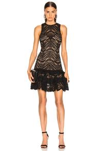 Jonathan Simkhai For Fwrd Sleeveless Ruffle Lace Dress In Black