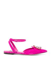 Dolce & Gabbana Suede Belucci Flats In Pink
