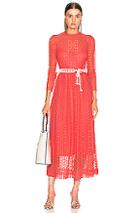 Zimmermann Allia High Neck Lace Dress In Orange