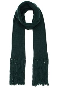 Lanvin Fringe Scarf In Green