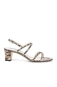 Manolo Blahnik Amata 50 Sandal In Animal Print,neutral