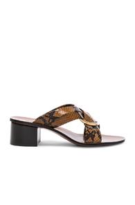 Chloe Rony Python Print Leather Cross Strap Mules In Brown,animal Print