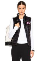 Canada Goose Hybridge Lite Vest In Black