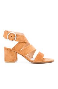 Gianvito Rossi Suede Chunky Heel Strap Sandal In Black,neutrals